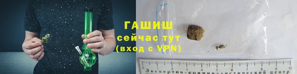 прущие грибы Вязьма