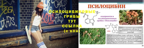 mdpv Володарск