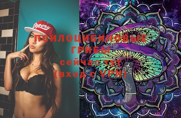 ECSTASY Волоколамск