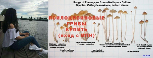 mdpv Володарск